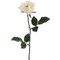 Allstate Long Stem Blooming Rose Artificial Floral Spray - 23" - Cream